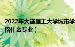2022年大连理工大学城市学院招生计划及招生人数（各省都招什么专业）