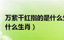万紫千红指的是什么生肖（万紫千红艳阳天指什么生肖）
