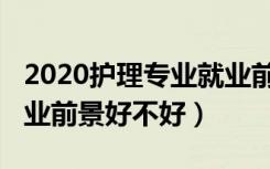 2020护理专业就业前景（2022护理学专业就业前景好不好）