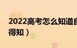 2022高考怎么知道自己有没有被录取（如何得知）