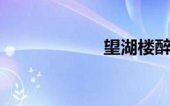望湖楼醉书的诗意