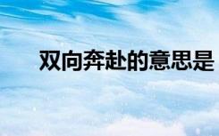 双向奔赴的意思是（双向奔赴的意思）