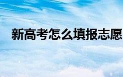 新高考怎么填报志愿 填志愿的方法有哪些