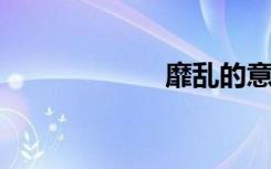 靡乱的意思是什么