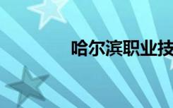 哈尔滨职业技术学院是几本