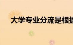大学专业分流是根据什么分 有哪些原则