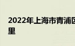 2022年上海市青浦区佳佳幼儿园的地址在哪里