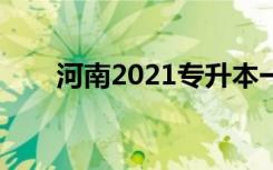 河南2021专升本一分一段表（绘画）