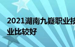 2021湖南九嶷职业技术学院专业排名 哪些专业比较好