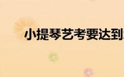 小提琴艺考要达到怎样的程度 好考吗