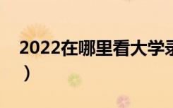 2022在哪里看大学录取情况（怎样查看录取）