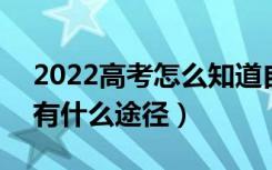 2022高考怎么知道自己有没有被录取大学（有什么途径）