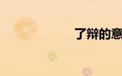 了辩的意思是什么