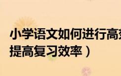 小学语文如何进行高效的复习（小学语文如何提高复习效率）