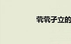 茕茕孑立的意思和造句