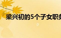 梁兴初的5个子女职务（梁兴初个人简历）