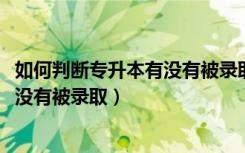 如何判断专升本有没有被录取（2022专升本怎么知道自己有没有被录取）