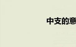 中支的意思是什么