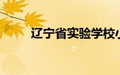 辽宁省实验学校小学部的地址在哪