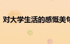 对大学生活的感慨美句 描述大学生活的句子