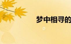 梦中相寻的意思是什么