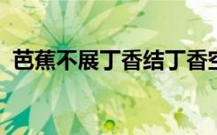 芭蕉不展丁香结丁香空结雨中愁是什么意思
