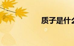 质子是什么意思化学