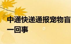 中通快递通报宠物盲盒 发生了什么 到底怎么一回事