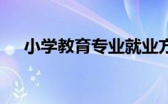 小学教育专业就业方向 适合岗位有哪些