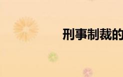 刑事制裁的意思是什么