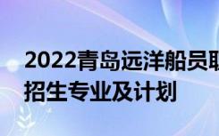 2022青岛远洋船员职业学院单招和综合评价招生专业及计划