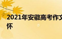 2021年安徽高考作文题目：论理想与家国情怀
