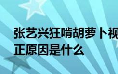 张艺兴狂啃胡萝卜视频 张艺兴喜欢唐嫣的真正原因是什么