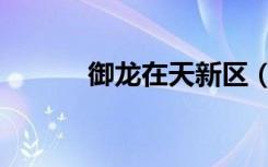 御龙在天新区（御龙在天排队）