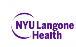 NYU Langone是纽约最大的肾脏移植中心