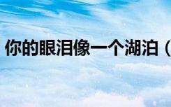 你的眼泪像一个湖泊（你的眼泪像一颗琥珀）