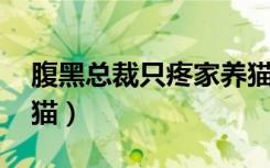 腹黑总裁只疼家养猫（腹黑总裁 只疼家养小猫）