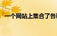 一个网站上集合了各种视频软件（一个网）