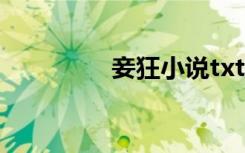 妾狂小说txt下载（妾狂）