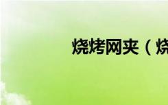 烧烤网夹（烧烤网多少钱）