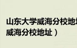 山东大学威海分校地址在哪个街道（山东大学威海分校地址）