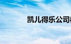 凯儿得乐公司被查处（kair）