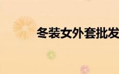 冬装女外套批发（嫡子难为txt）