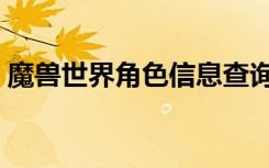 魔兽世界角色信息查询（魔兽世界角色查询）