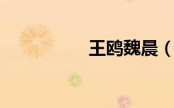 王鸥魏晨（wow耗子）