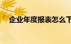 企业年度报表怎么下载（企业年度报表）