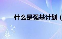 什么是强基计划（报名条件有哪些）