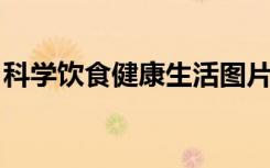 科学饮食健康生活图片（科学饮食 健康生活）