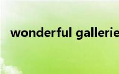 wonderful galleries（wonderful girl）