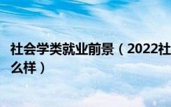 社会学类就业前景（2022社会学专业就业方向及就业前景怎么样）